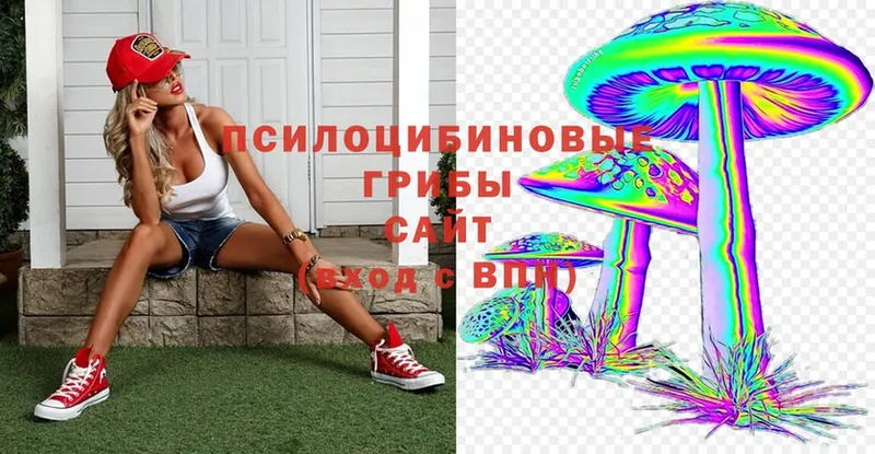 omg онион  Стародуб  Галлюциногенные грибы мицелий 